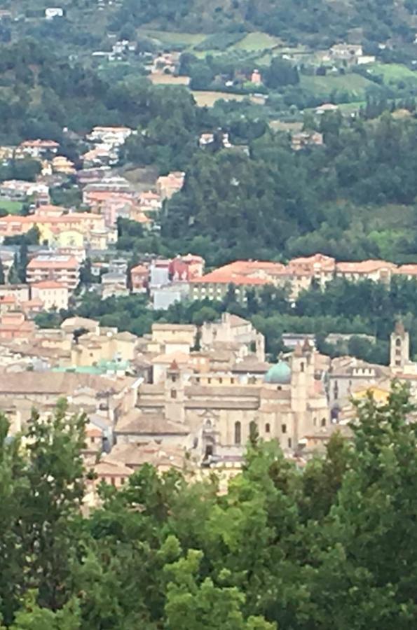 L'Acerba B&B Ascoli Piceno Zewnętrze zdjęcie